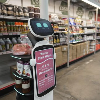 T10 Delivery Promo Robot VeDoSign 03