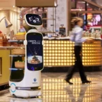 T10 Delivery Promo Robot VeDoSign 04