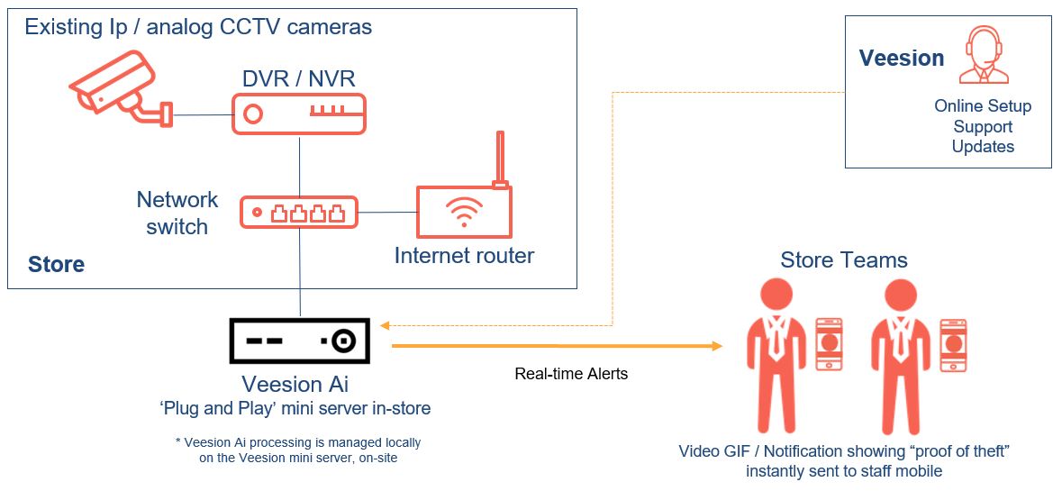 Veesion How It Works Schema